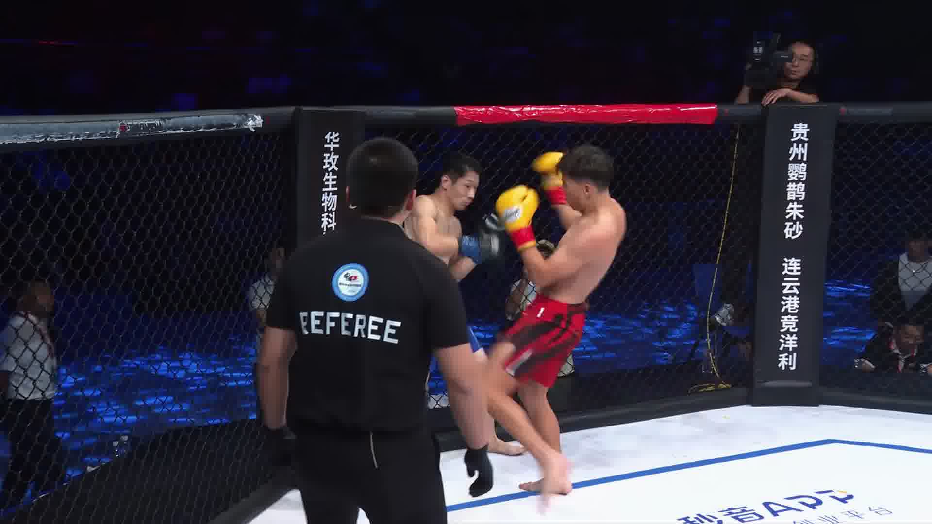 龙三格斗环球拳王巡回赛