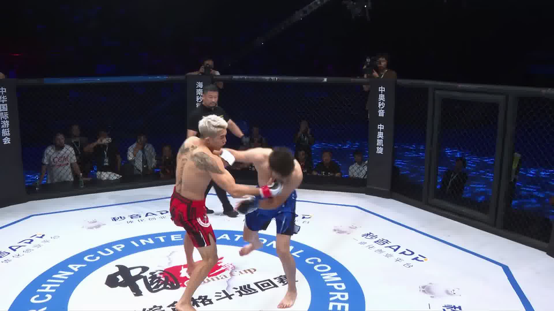 龙三格斗环球拳王巡回赛