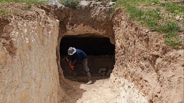 狗子帮我发现了个隐秘洞穴，我细细打探了一番，挖掘出豪华庇护所