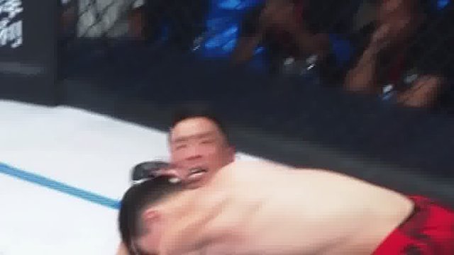 龙三格斗环球拳王巡回赛