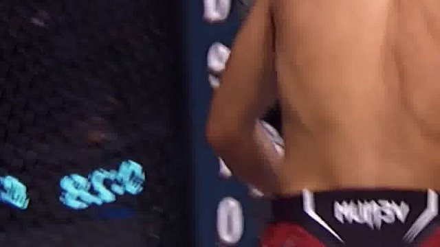 龙三格斗环球拳王巡回赛