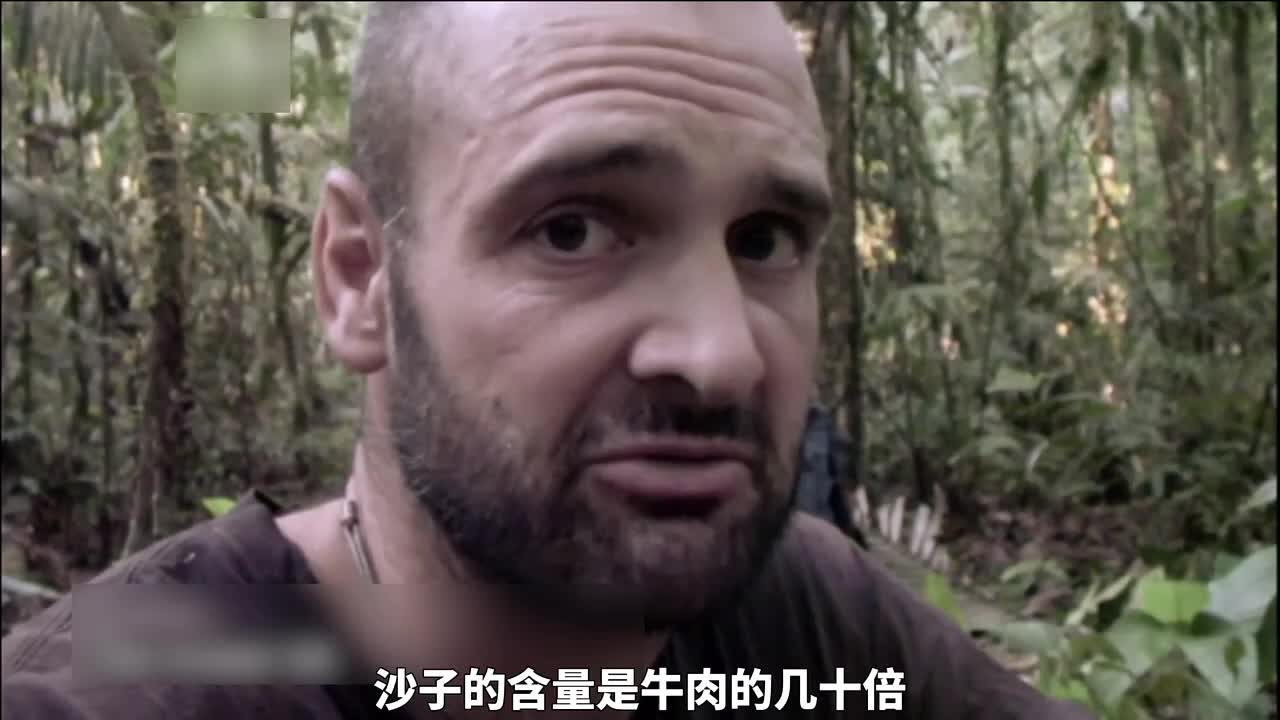 德爷早期的成名之作，徒步7200公里穿越亚马逊！(2)
