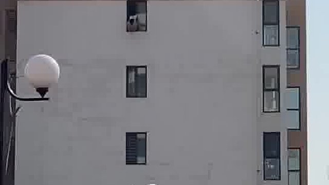 我发布了一个新视频，快来围观吧！