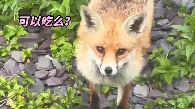 这搁谁谁不迷糊啊