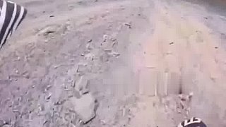 玩的就是極限