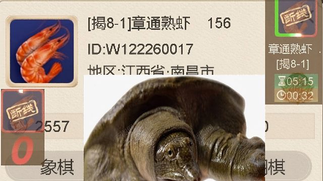 揭棋-断线狗来喽-江西省南昌市犬.大家参观.