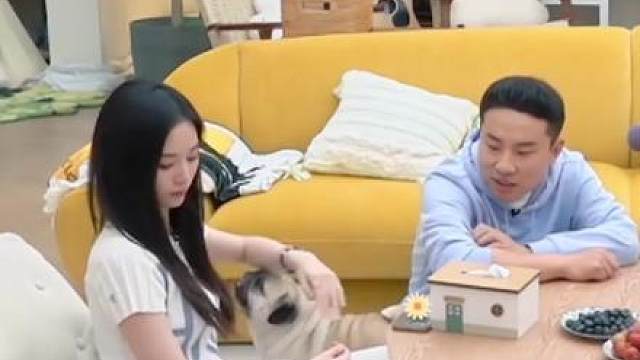 疑似moki专治黄子韬 #徐艺洋#黄子韬#毛雪汪 #娱乐评论大赏