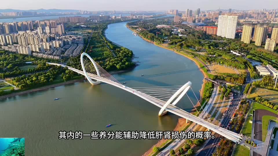 春夏必备！茴香笔记 二（上）