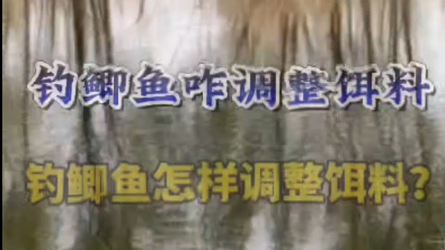 钓鲫鱼咋调整饵料