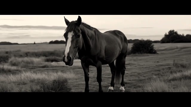 这条福特野马MUSTANG - AI短片的第一桶金？