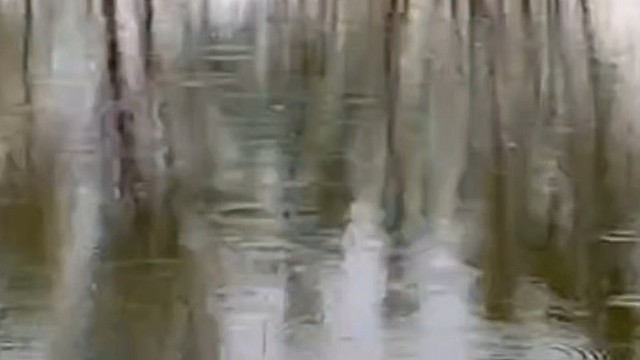 在东北地区，春钓鲫鱼咋找水层？