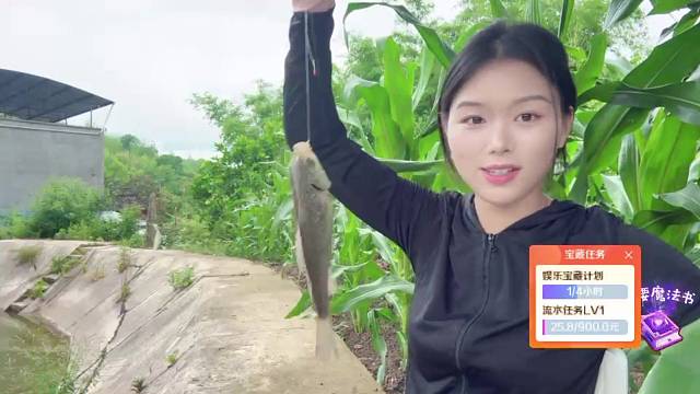 喂鱼泡今天不喂鱼