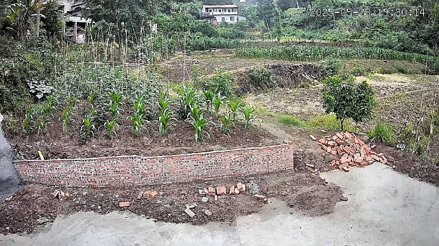 曾兵两口都有神经病看视频啊