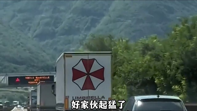 还真有人用这个当车贴啊