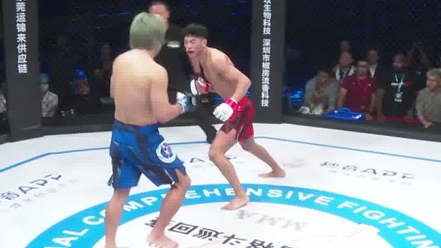 龙三格斗环球拳王巡回赛