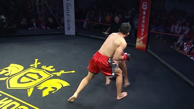 龙三格斗环球拳王巡回赛