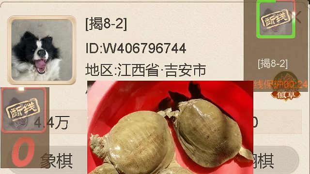 揭棋-断线狗.里程碑. 江西吉安市首只断线狗.