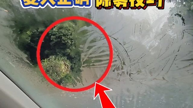 车窗玻璃起雾，用内循环还是外循环？这才是正确的做法