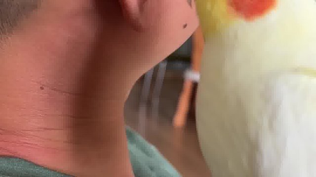 小鸟的歌声只给喜欢的人听