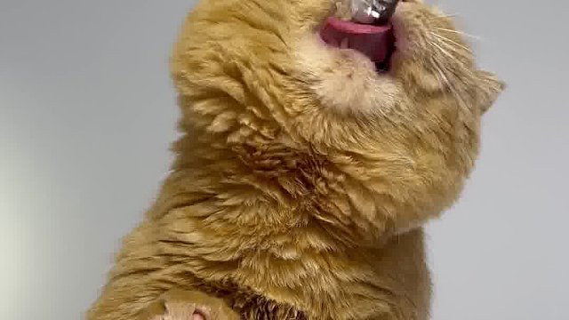 扎几个洞就吞下去了？？？