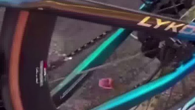 这车轮子怎么弄？被蛇缠住了