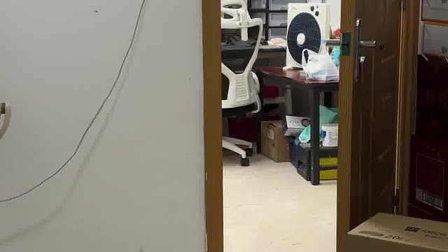 一听到叫它，鸟不停蹄的就跑过来了