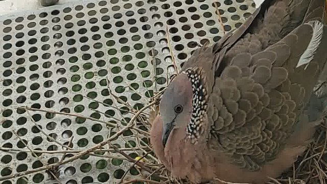 我把你当朋友，你把我当敌人