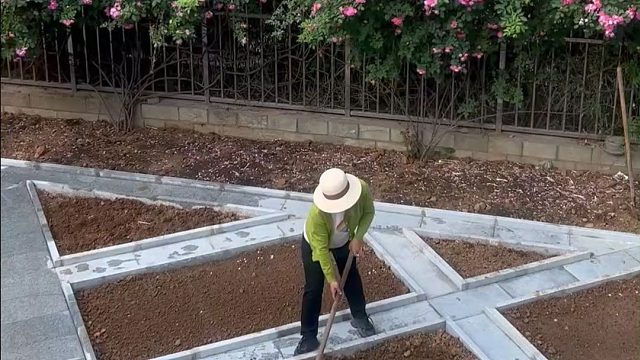 每天小院浇水、除草、干活，是最开心的事#田园生活