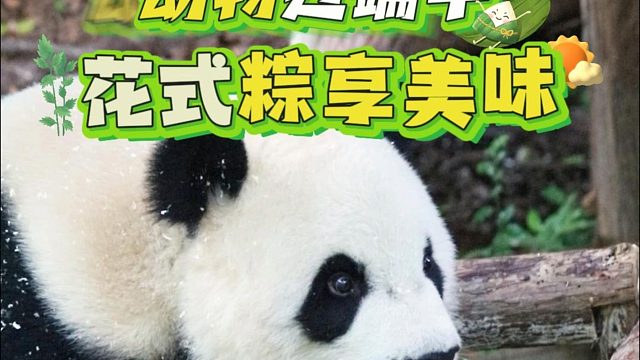 动物过端午，花式粽享美味。那你最爱吃哪一种口味的粽子呢？