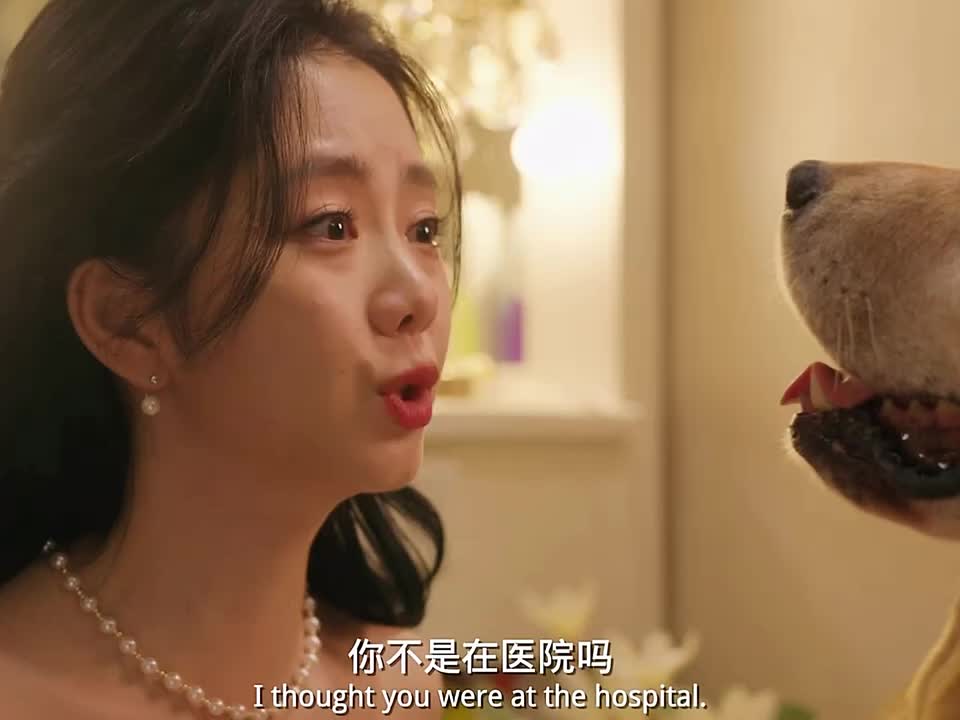 第4集：父亲也许一直都在，他只是换了另外一种方式！