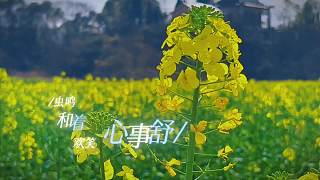 無人機墜機