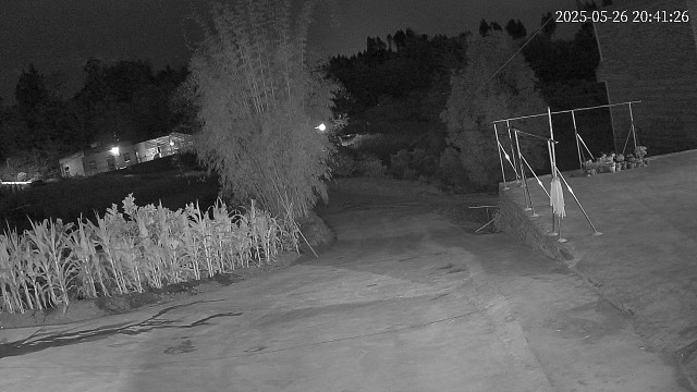 两口子神经病曾兵夜晚偷东西回来啊