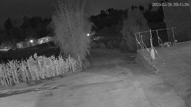 两口夜晚上偷东西回来神经病啊