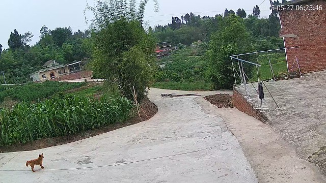 我发布了一个新视频，快来围观吧！