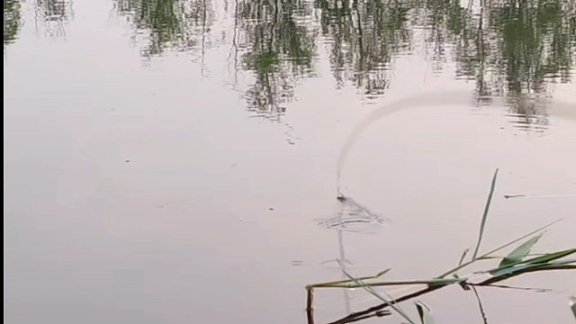 野钓的黄金季节