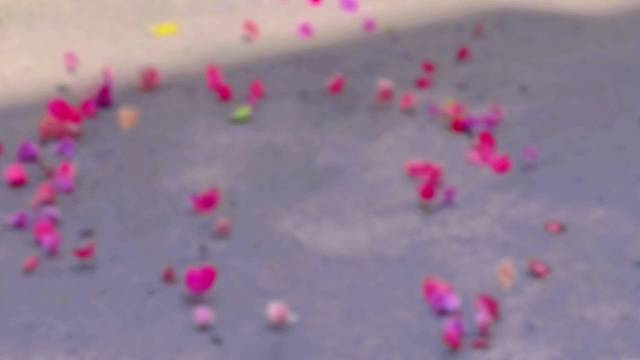 如果快乐太难，那就祝你平安