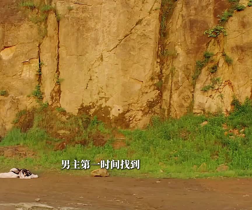 女主被男主男二逼跳下悬崖，醒来后想起了关于自己的一切。