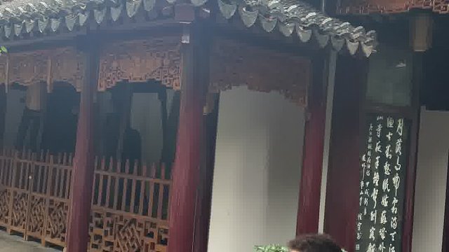 寒山寺猫咪吵架事件