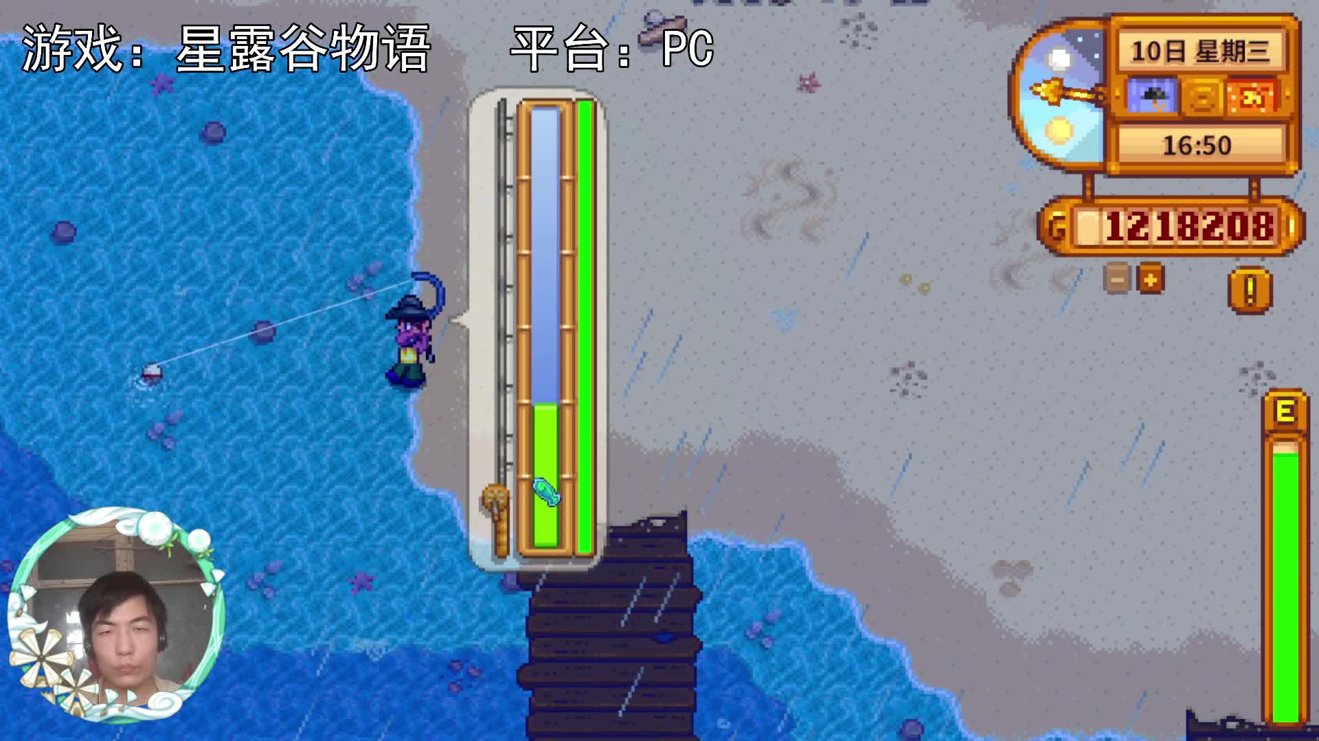 【星露谷物语】上钩了，鳗鱼！