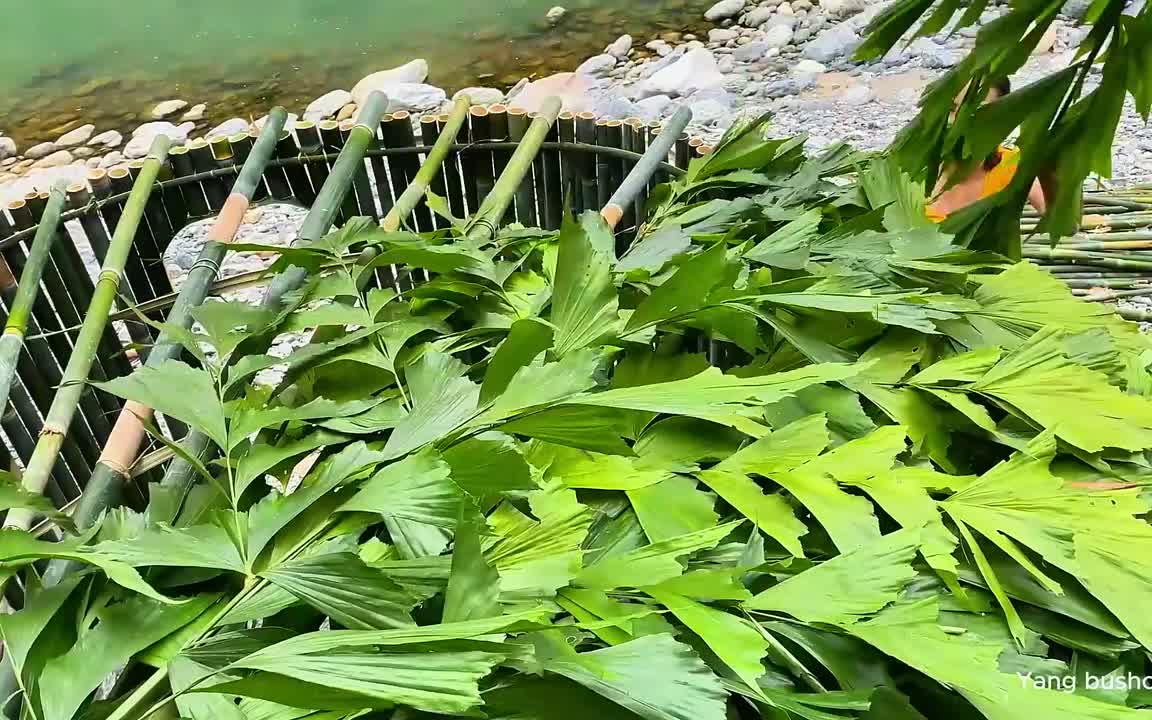 大河旁建造坚固的竹屋，野外生存捕鱼。