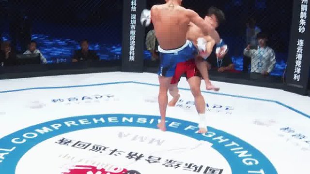 龙三格斗环球拳王巡回赛