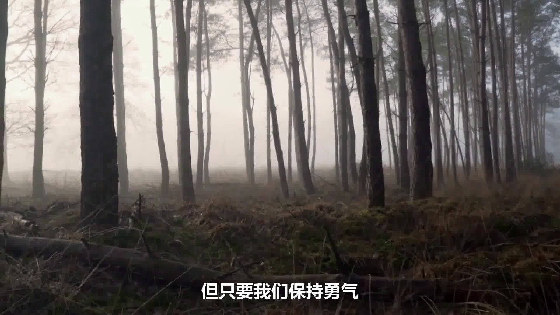 失去金钱的人损失甚少，失去健康的人损失极多，失去勇气的人损失一切。