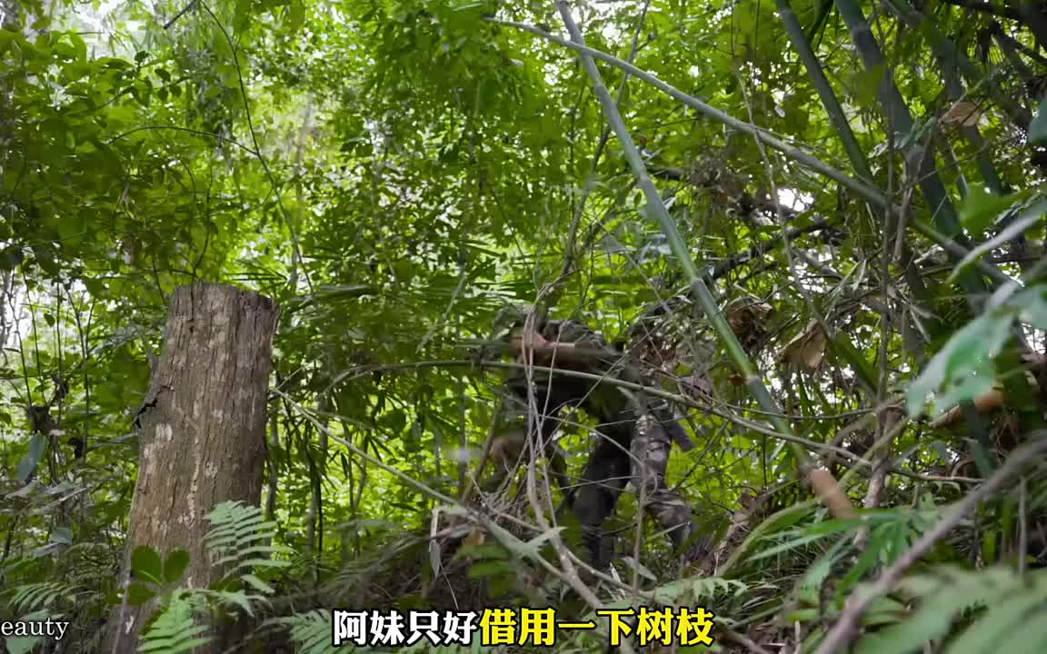 农场建设，捕捉凶猛的竹鼠，熟睡的半夜遭到袭击