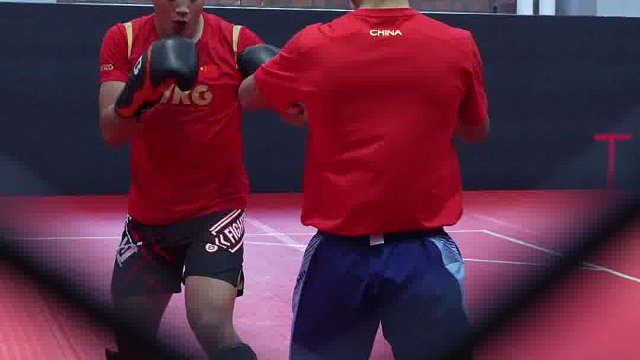 龙三格斗环球拳王巡回赛