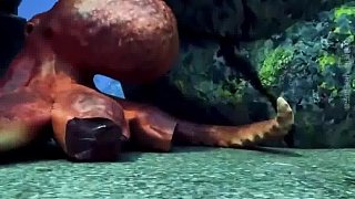 奇妙的章魚
