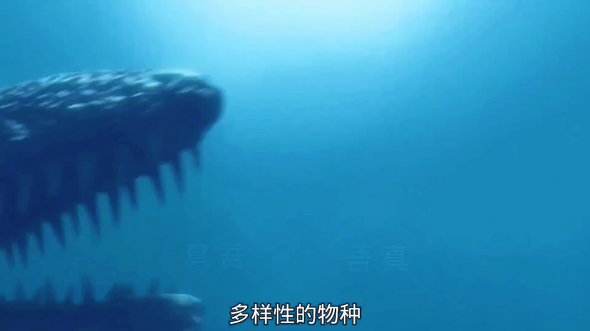 小小蜥蜴本领大，跳入海里成为海洋霸主，沧龙的逆袭太励志！