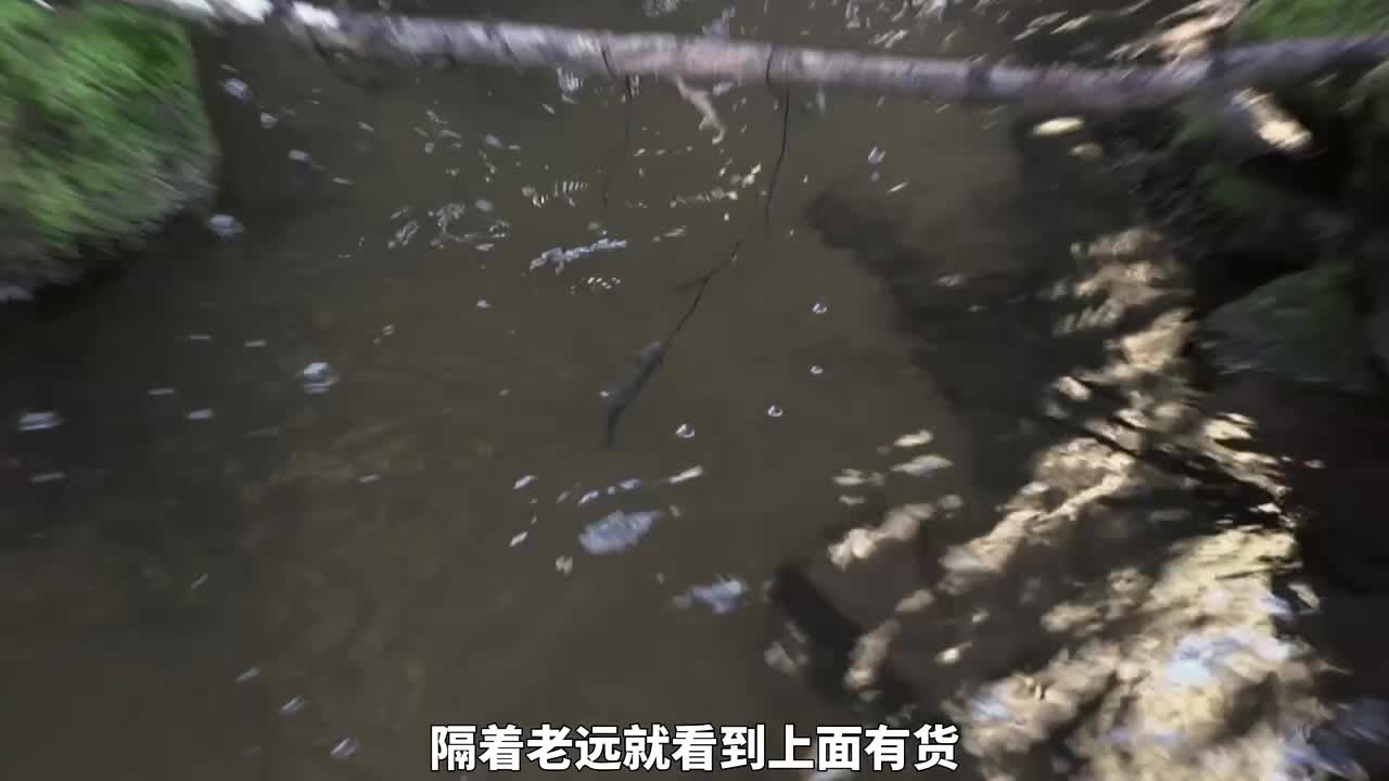 德爷罗多彼山脉荒野求生， 抓鳟鱼逮杰瑞(3)