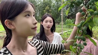 傷敵八百，自損2400
