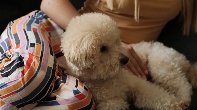 冠军.乔0907为热爱记录美好生活