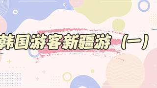 韓國游客新疆游一